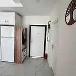 Art Life 알란야