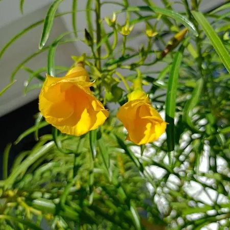 Апартаменты Art Life *