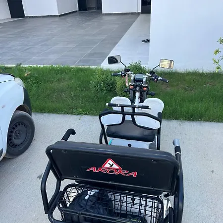 Art Life Алания